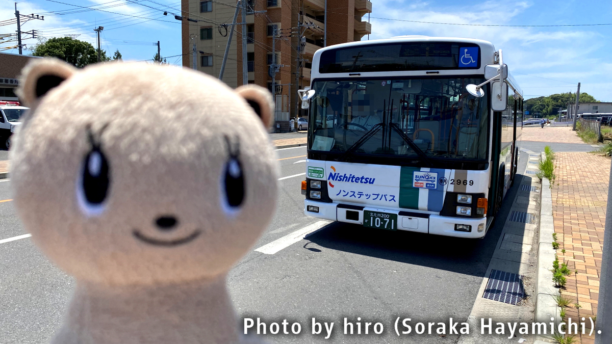 f:id:fuwafuwaame:20200620125726j:plain f:id:fuwafuwaame:20200620125726j:plain