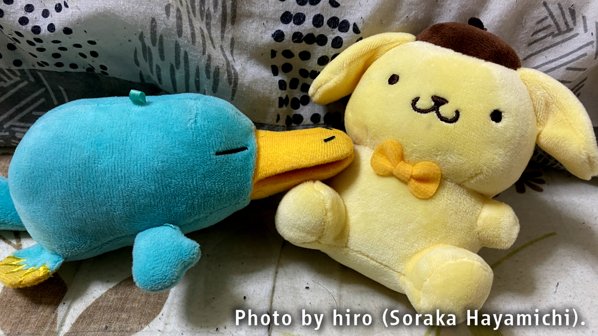 f:id:fuwafuwaame:20210302191105j:plain