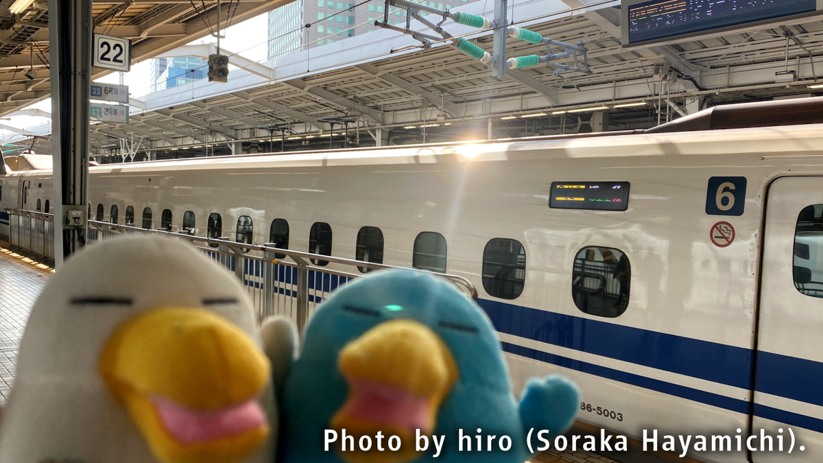f:id:fuwafuwaame:20210621192041j:plain