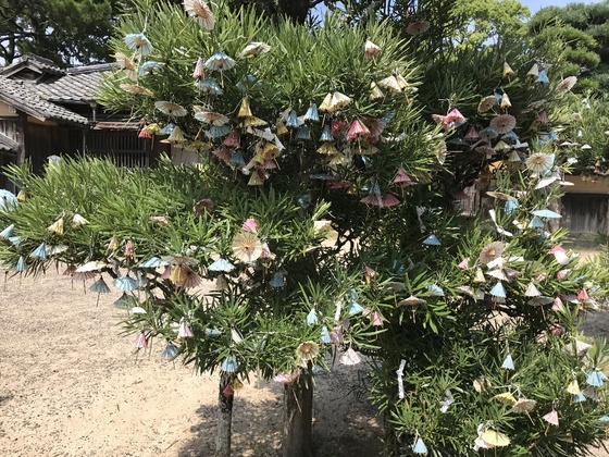 f:id:fuwari-x:20190405131711j:plain