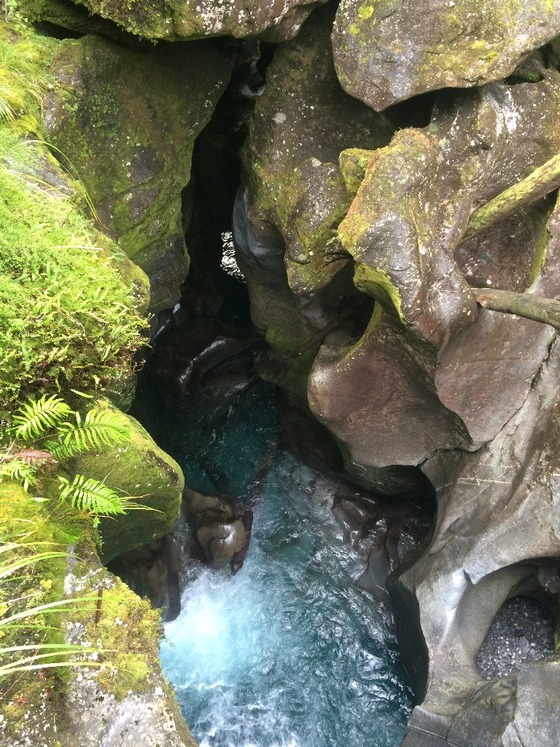 f:id:fuwari-x:20190405144039j:plain