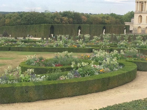 f:id:fuwari-x:20190405145427j:plain