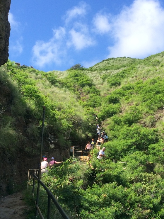 f:id:fuwari-x:20190405152150j:plain