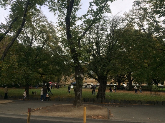 f:id:fuwari-x:20190405171442j:plain f:id:fuwari-x:20190405171442j:plain