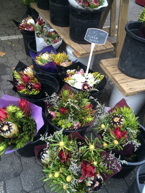 f:id:fuwari-x:20190405171525j:plain f:id:fuwari-x:20190405171525j:plain