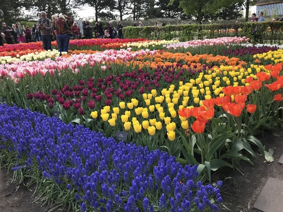 f:id:fuwari-x:20190408104216j:plain