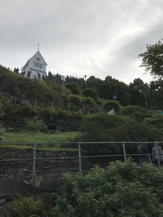 f:id:fuwari-x:20190409133425j:plain