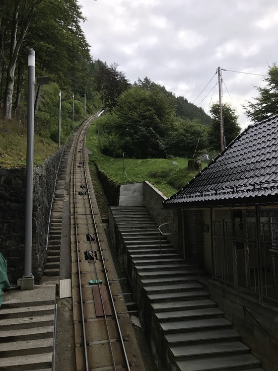 f:id:fuwari-x:20190409133513j:plain