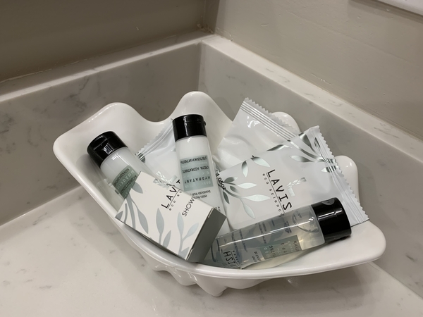 f:id:fuwari-x:20190508132431j:plain