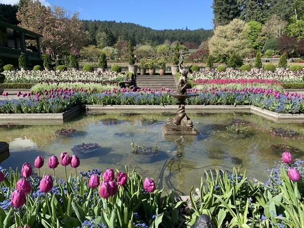 f:id:fuwari-x:20190513093455j:plain