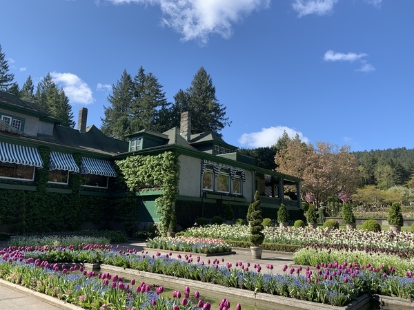 f:id:fuwari-x:20190513093456j:plain
