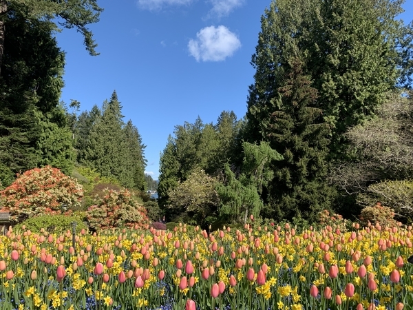 f:id:fuwari-x:20190513093459j:plain