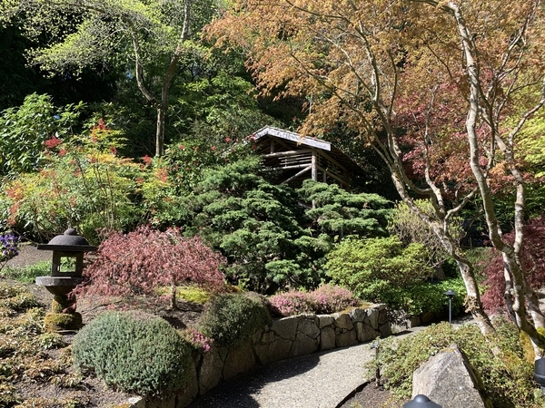 f:id:fuwari-x:20190513093501j:plain