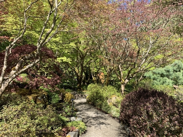 f:id:fuwari-x:20190513093502j:plain