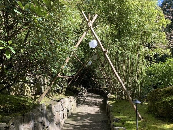 f:id:fuwari-x:20190513093506j:plain