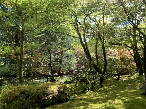 f:id:fuwari-x:20190513093507j:plain