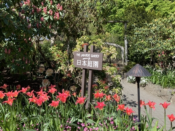f:id:fuwari-x:20190513093510j:plain