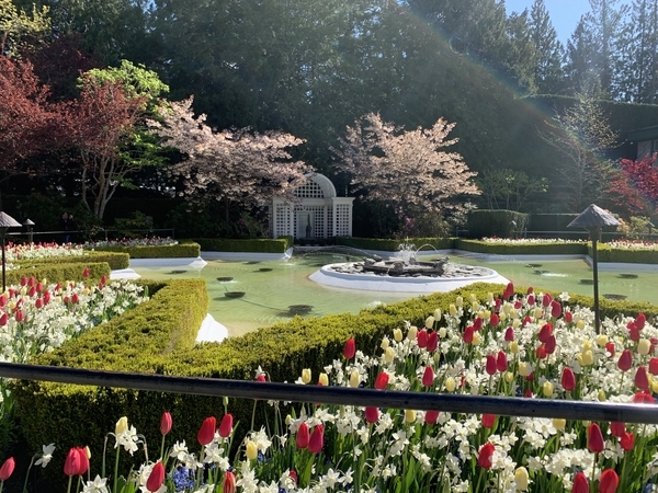 f:id:fuwari-x:20190513101355j:plain