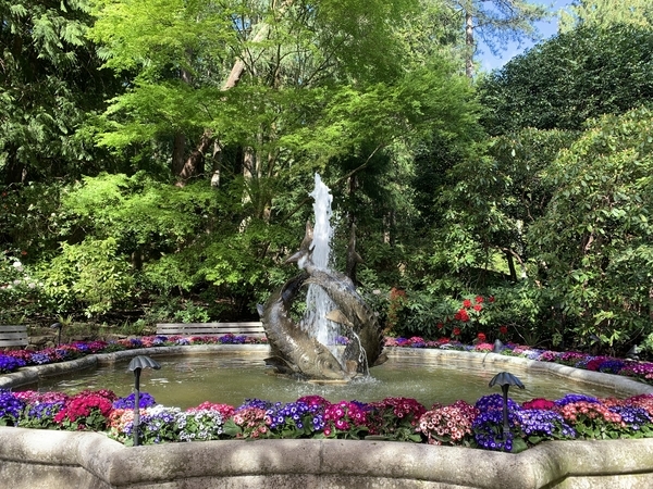 f:id:fuwari-x:20190513105105j:plain