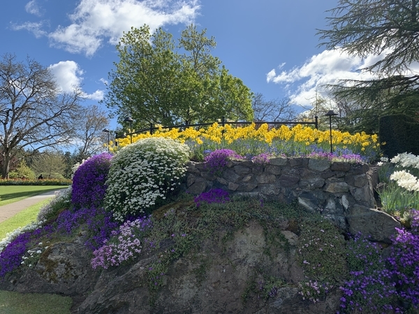 f:id:fuwari-x:20190513105112j:plain