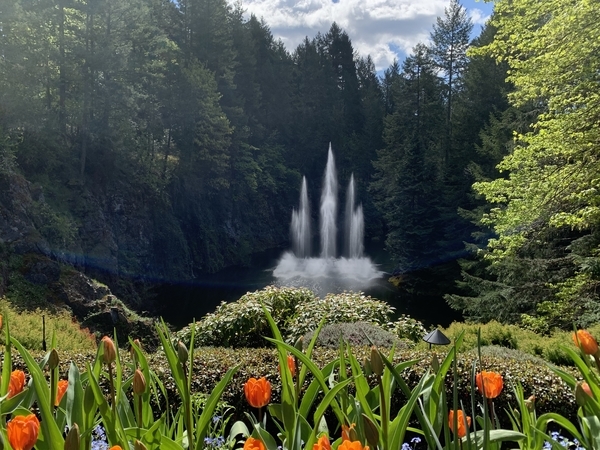 f:id:fuwari-x:20190513105117j:plain