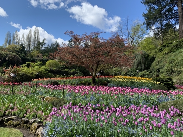 f:id:fuwari-x:20190513105121j:plain