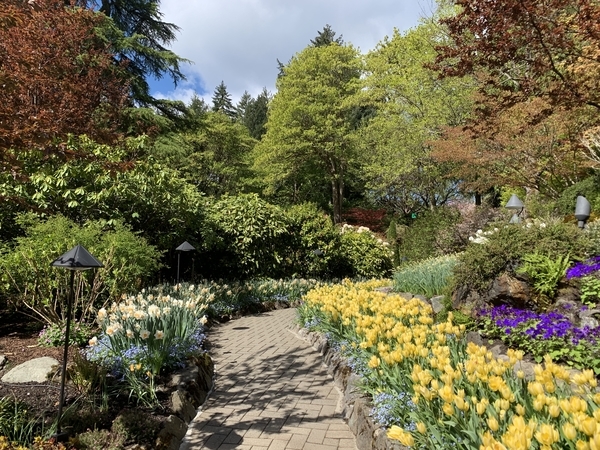 f:id:fuwari-x:20190513105123j:plain