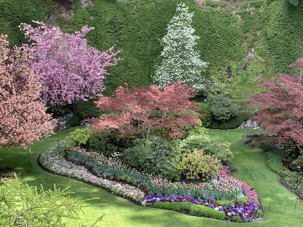 f:id:fuwari-x:20190513105125j:plain
