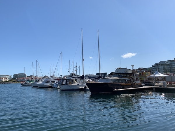 f:id:fuwari-x:20190515102128j:plain