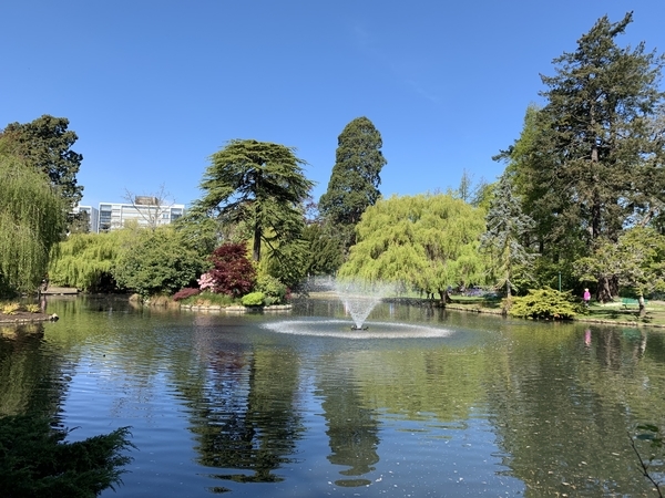 f:id:fuwari-x:20190515102154j:plain