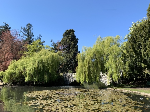 f:id:fuwari-x:20190515102156j:plain