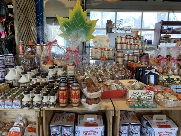 f:id:fuwari-x:20190524092337j:plain f:id:fuwari-x:20190524092337j:plain