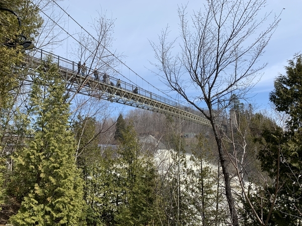 f:id:fuwari-x:20190524094317j:plain f:id:fuwari-x:20190524094317j:plain