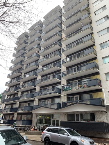 f:id:fuwari-x:20190530120131j:plain f:id:fuwari-x:20190530120131j:plain