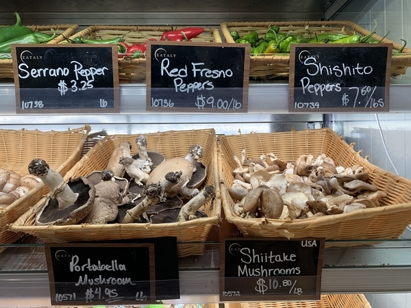 f:id:fuwari-x:20190606131304j:plain f:id:fuwari-x:20190606131304j:plain