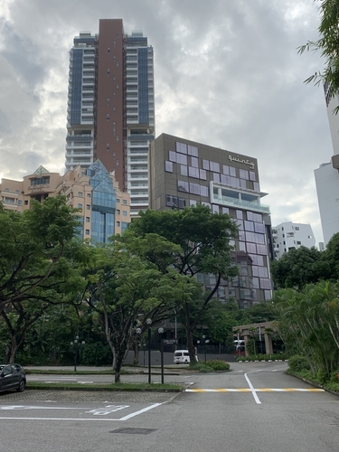 f:id:fuwari-x:20190614132835j:plain f:id:fuwari-x:20190614132835j:plain