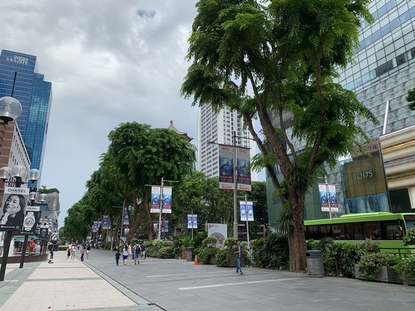 f:id:fuwari-x:20190617094547j:plain f:id:fuwari-x:20190617094547j:plain