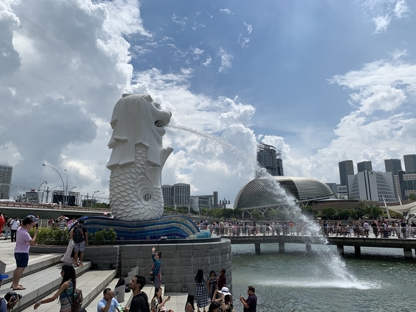 f:id:fuwari-x:20190618100805j:plain f:id:fuwari-x:20190618100805j:plain