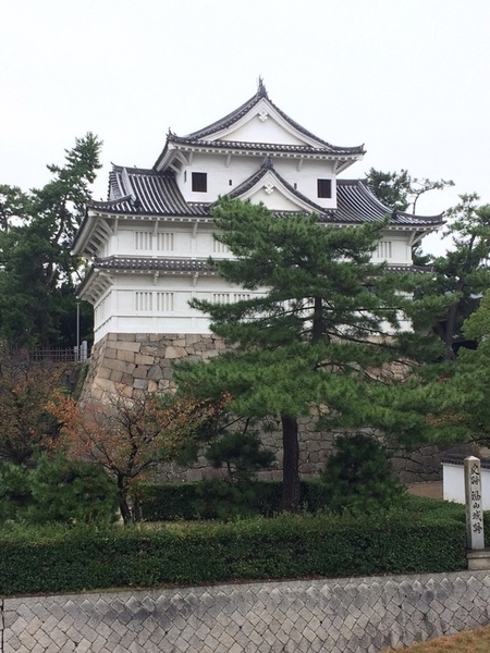 f:id:fuwari-x:20190621145108j:plain