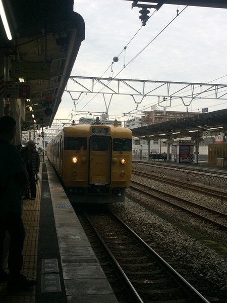 f:id:fuwari-x:20190621145254j:plain