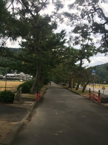 f:id:fuwari-x:20190621145304j:plain