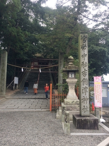 f:id:fuwari-x:20190621145309j:plain