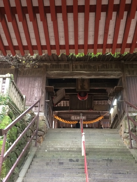 f:id:fuwari-x:20190621145315j:plain