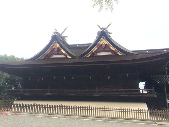 f:id:fuwari-x:20190621145324j:plain