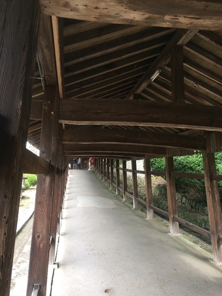 f:id:fuwari-x:20190621145330j:plain