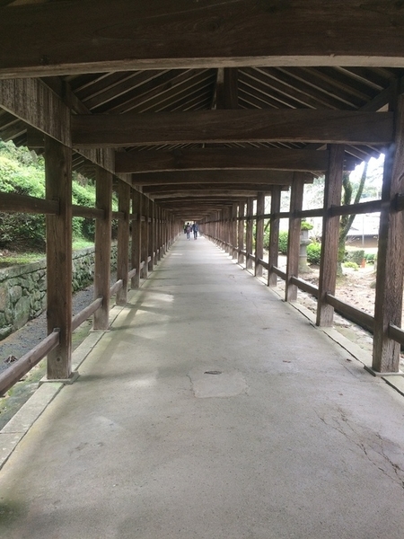 f:id:fuwari-x:20190621145335j:plain