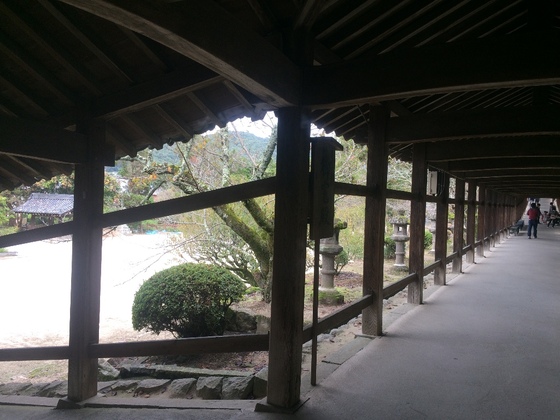 f:id:fuwari-x:20190621145341j:plain