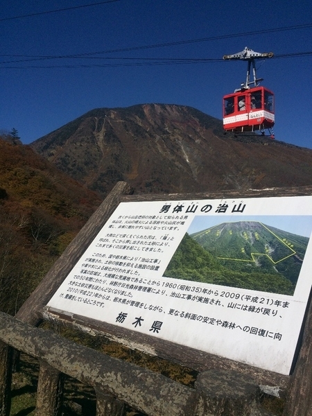 f:id:fuwari-x:20190621145456j:plain