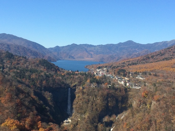 f:id:fuwari-x:20190621145536j:plain