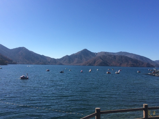 f:id:fuwari-x:20190621145558j:plain f:id:fuwari-x:20190621145558j:plain